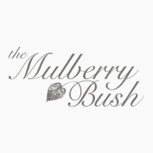 The Mulberry Bush Total Health Our Friends Tab